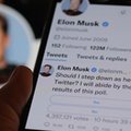 Elon Musk pyta się użytkowników Twittera, czy ma kierować serwisem