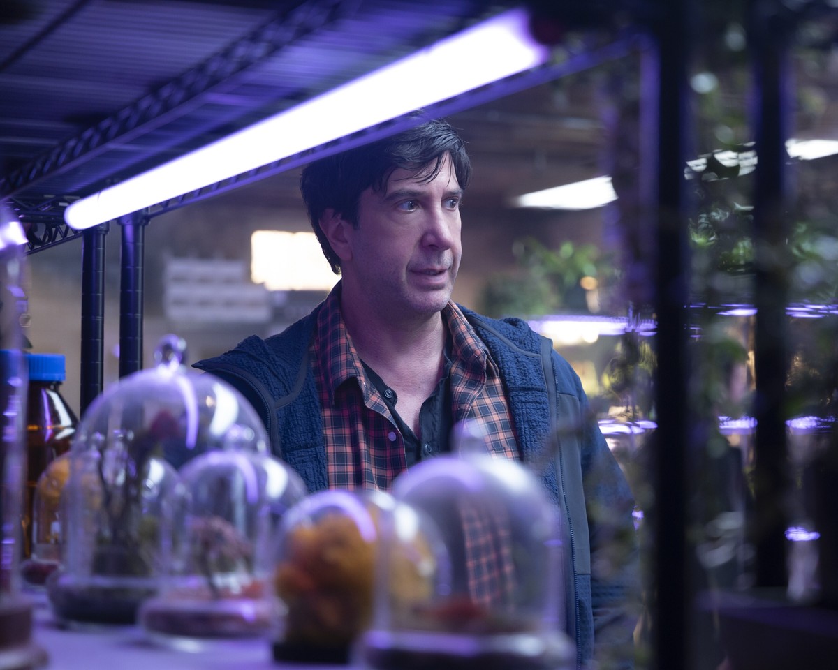 David Schwimmer w serialu "Gęsia skórka: Zagubieni"
