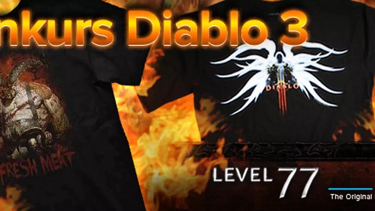 Konkurs: Mało ci memów w Diablo III? Dodaj do gry własny i zgarnij unikalną koszulkę