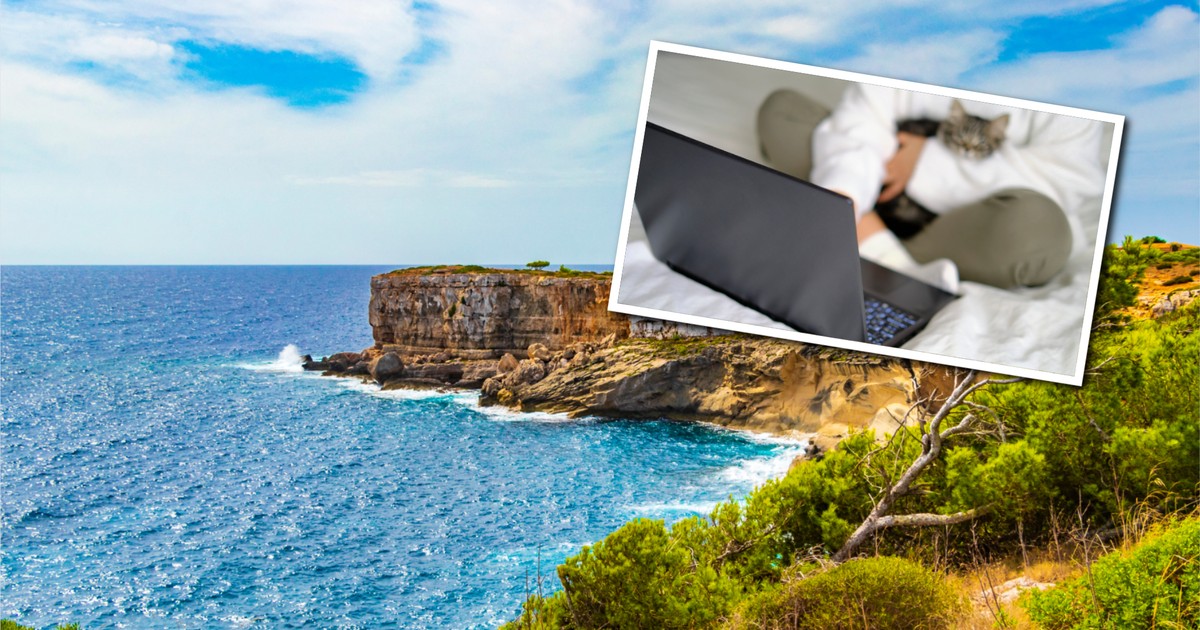 Tego dnia kupisz bilety lotnicze za grosze, ale uważaj na pułapki! Kiedy wypada Travel Tuesday?