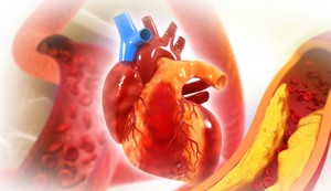 Arterije su krvni sudovi koji prenose krv bogatu kiseonikom kroz telo