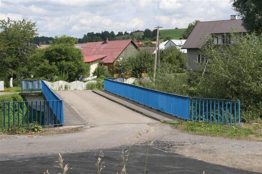 Rozjechał bernardyna z nudów. Dostał wyrok