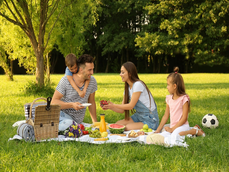 Rodzinny piknik / shutterstock 