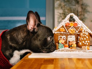 7 apróság, amiért nem lesz az igazi a mézeskalácsod