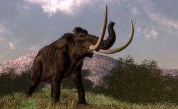 Naukowcy chcą odtworzyć mamuty. Pierwsze mogą się urodzić za 6 lat