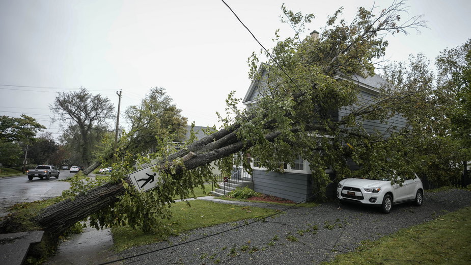 Połamane drzewo po przejściu huraganu Fiona 24 września 2022 r. w Sydney, Nowa Szkocja na wyspie Cape Breton w Kanadzie