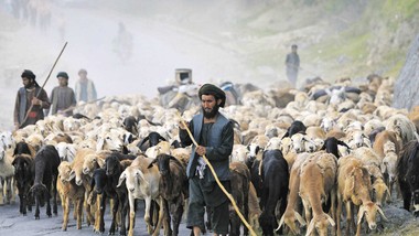 afganistan. pęknięcie wśród talibów