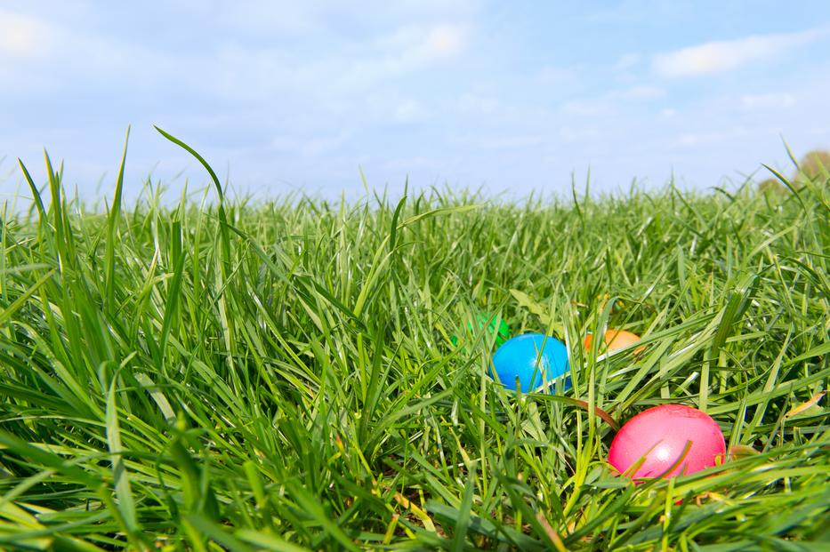 Már csak kevés helyen járják a határt, legfeljebb húsvét hétfőn a gyerekek keresnek a kertben hímes tojást/ Fotó: Northfoto