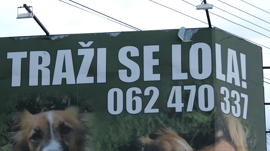 Marko mesecima traži izgubljenog psa