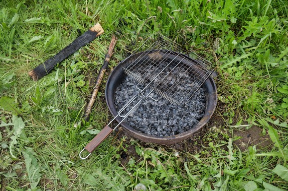 Ne bacajte pepeo posle roštiljanja: Ovo povrće ga obožava, a