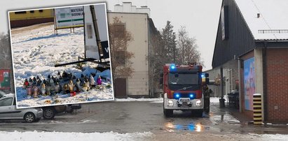 Tragedia w Andrychowie. Nie żyje 14-latka. Nowe, szokujące ustalenia