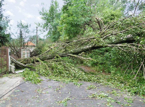 Wichura uderzyła w Podkarpacie. Zniszczone dachy, powalone drzewa