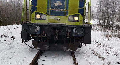 Bus zderzył się z pociągiem na przejeździe. Chwile grozy w Czerwinie