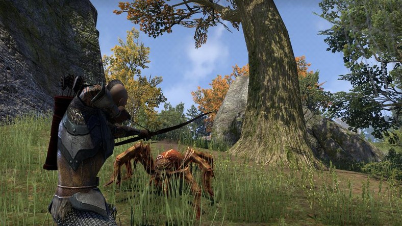 Elder Scrolls Online okiem anty-fana MMO