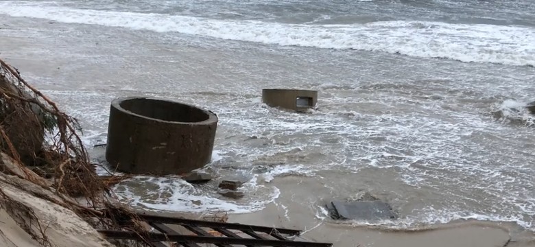 Film naszego czytelnika z helskiej plaży. "Duże fale zabierają brzeg i drzewa"