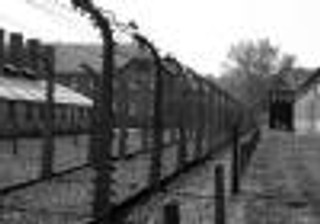 Rząd: Do 3 lat więzienia za zwrot 'polski obóz'