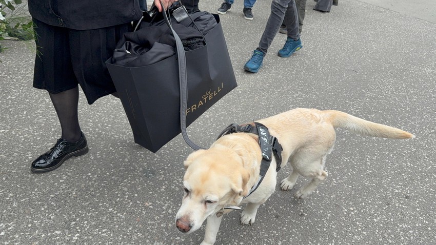 Sahrana Duška Vujoševića