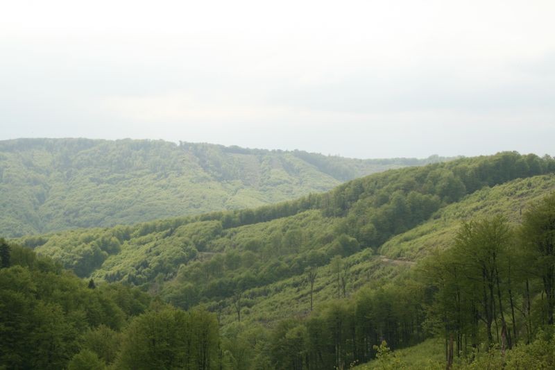 Wiosna w Beskidzie Niskim. Foto. Jędrzej Trzciński