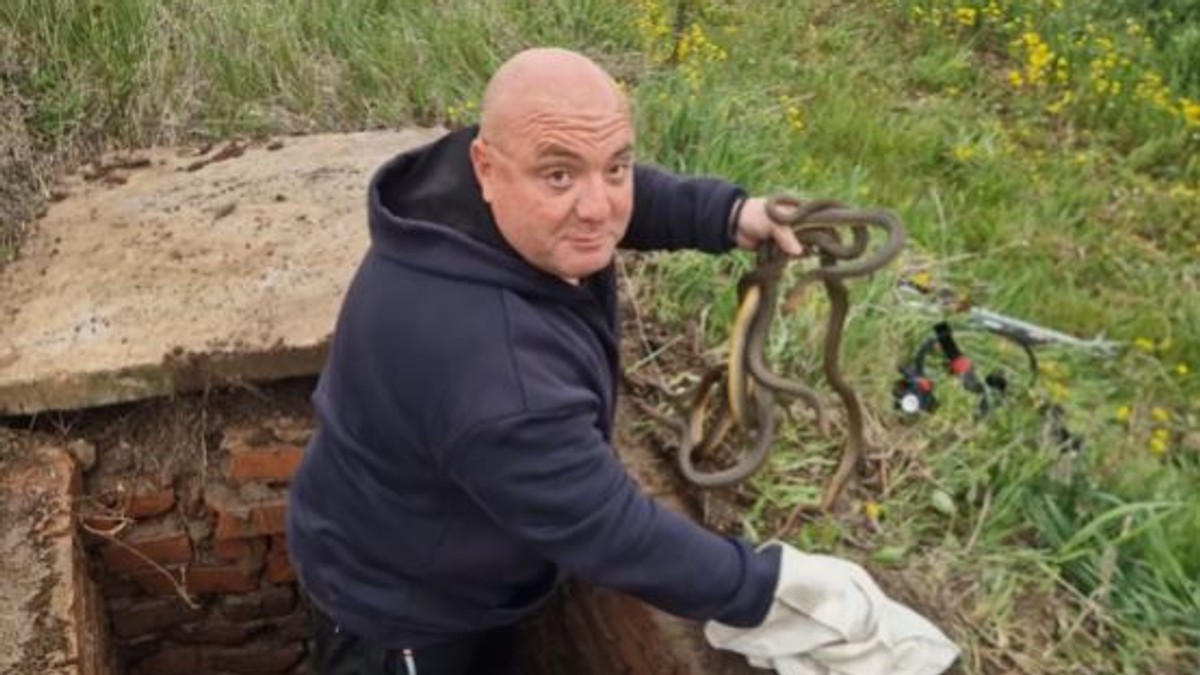 Vladica Stanković uhvatio šest zmija