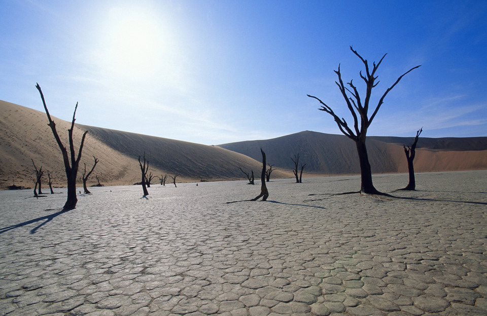 Nadmorska pustynia Namib w Namibii