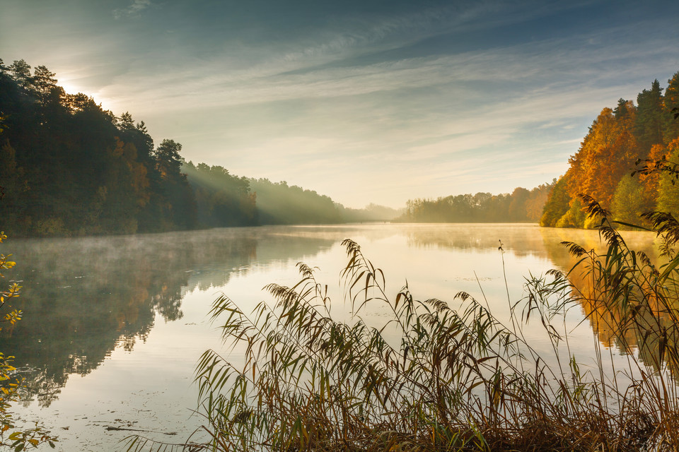 Mazury