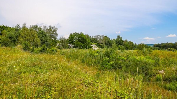 Przetarg ma wyłonić firmę, która przygotuje koncepcję zagospodarowania ponad 34 ha terenów zielonych znajdujących się w sąsiedztwie doliny rzeki Wilgi, w rejonie ul. Podmokłej i Herberta.
