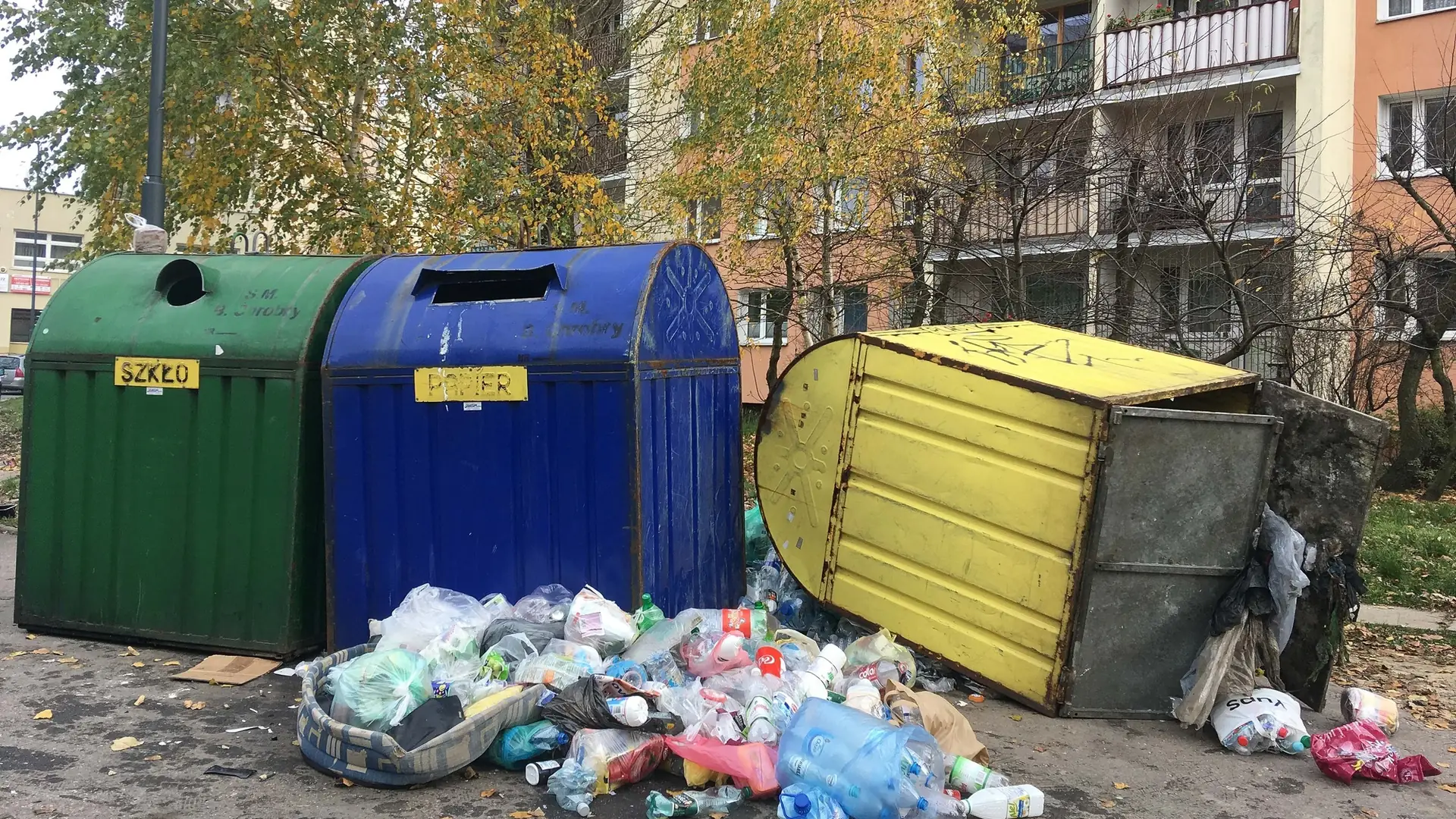 Gdzie wyrzucić stary dywan czy klawiaturę? "Pan Śmieciarz" to aplikacja, dzięki której nie pomylisz już śmietników