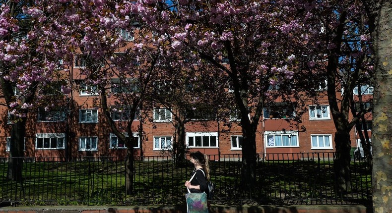 Blooming trees in Dublin city center during the COVID-19 lockdown.Artur Widak/Getty Images