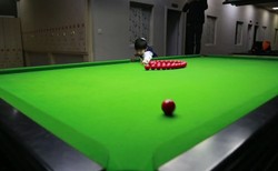 Niesamowite umiejętności 10-letniego bilardzisty [WIDEO]