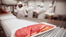 Antybiotyki i salmonella w mięsie z ukrytej chłodni w Łódzkiem
