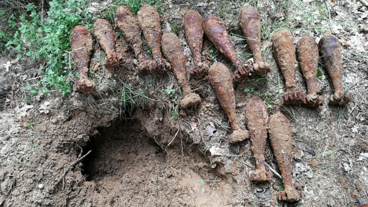 Ponad 130 granatów moździerzowych i 10-kilogramowa bomba lotnicza, a wszystko wypełnione materiałem wybuchowym o łącznej wadze blisko 100 kilogramów – prawdziwy arsenał z czasów II wojny światowej odkryli w lesie na Mazowszu funkcjonariusze CBŚP. Niewybuchy zneutralizowali saperzy. Śledczy sprawdzają, czy zabezpieczone przedmioty mogły być wykorzystywane do celów przestępczych.