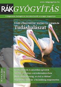 rakgyogyitas-2011tel-cimlap1-d000011ED065b1181da8b