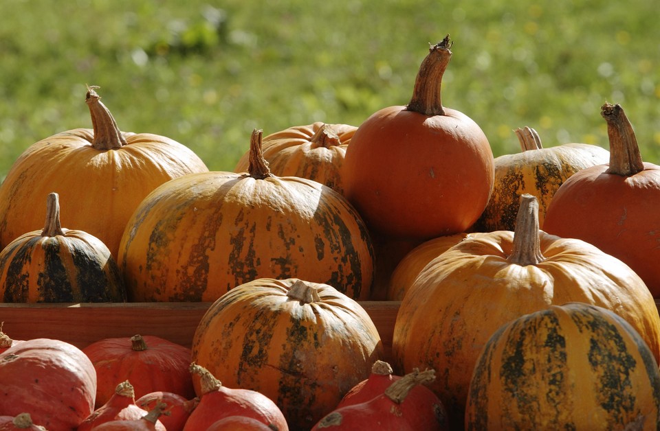 Austria szykuje się na Halloween