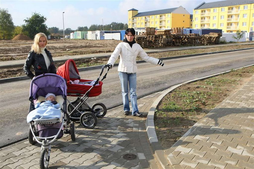 Poznań: Szef ZDM zasieje trawę na zimę