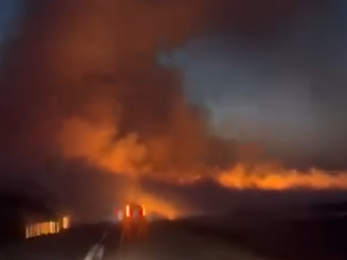 Požar u Vojvodini između Laćarka i Martinaca, dim pokrio put
