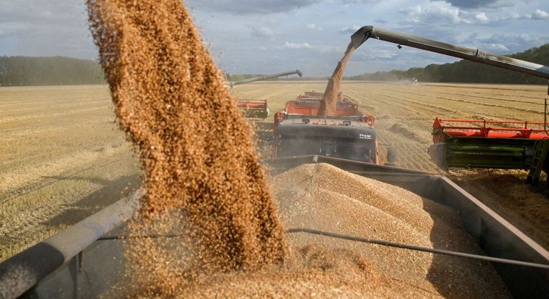 Russian Grain