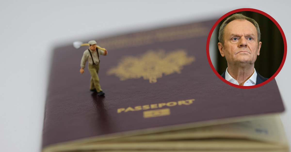 Polacy wracają do kraju? Premier reaguje na doniesienia Daily Mail