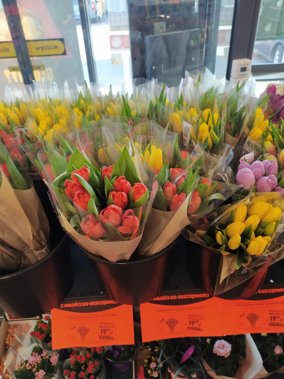 Tulipany na walentynki z Biedronki