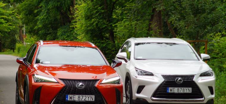 Lexus UX czy Lexus NX – który pasuje do Ciebie lepiej?