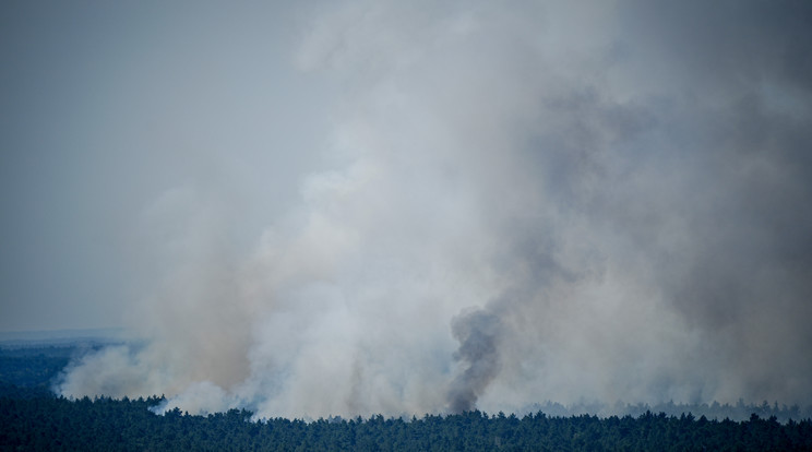 A robbanás nyomás lángol a Grünewald nevű erdő Berlinben /Fotó: GettyImages