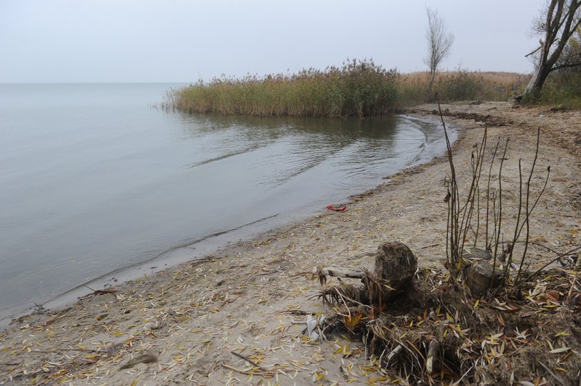 Porzuciła martwe dziecko nad zalewem. Była poczytalna?