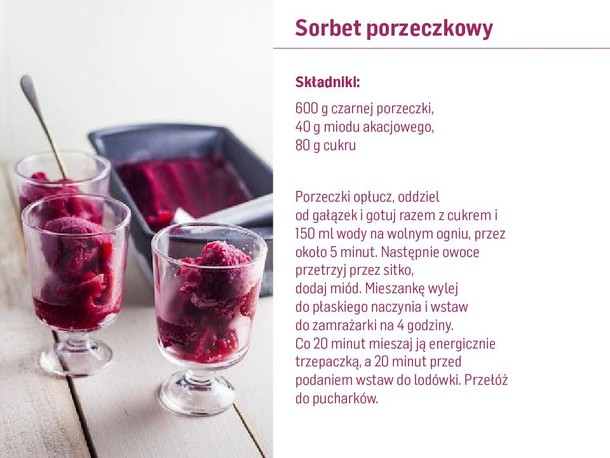 sorbet porzeczkowy przepis