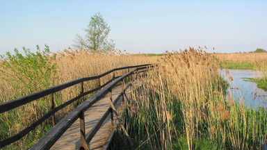 Wielkie koszenie łąk w Narwiańskim Parku Narodowym