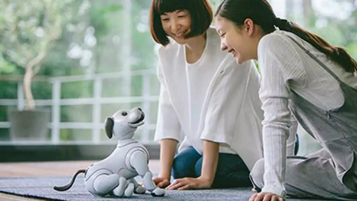 Sony ogłasza nowego robota Aibo