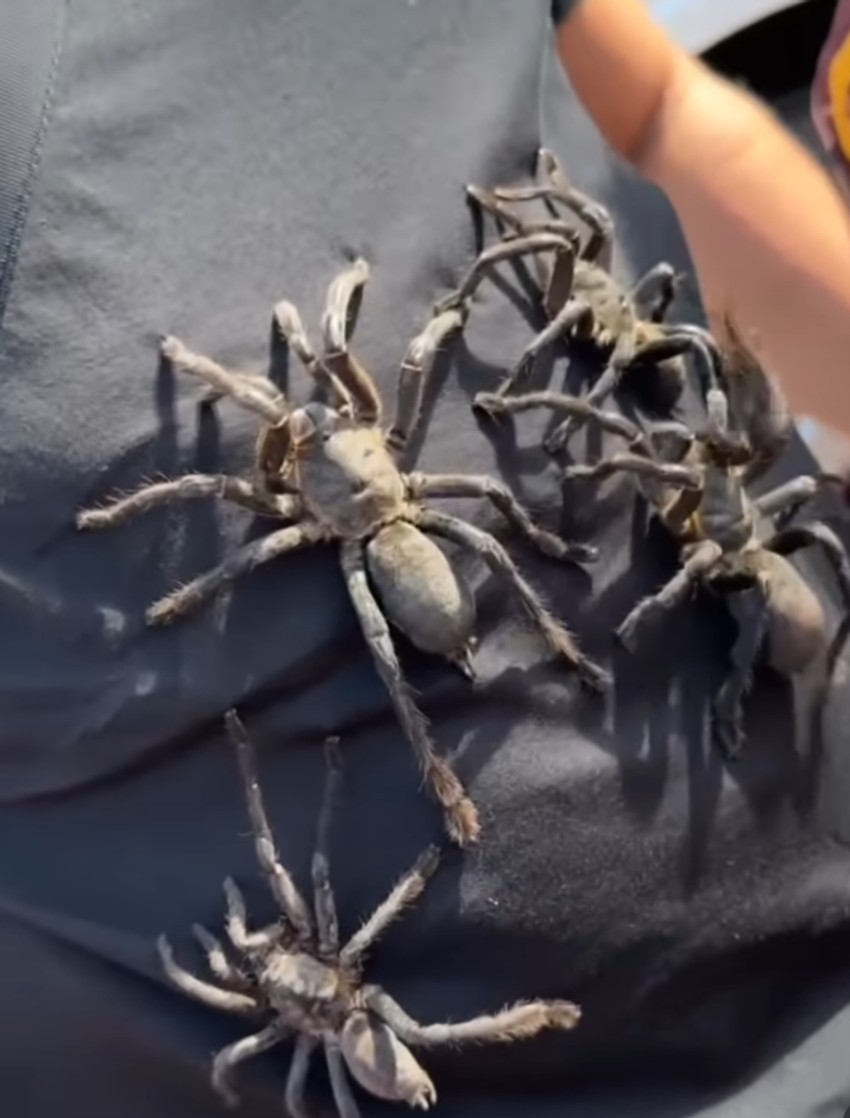 Luka Raco u Kambodži