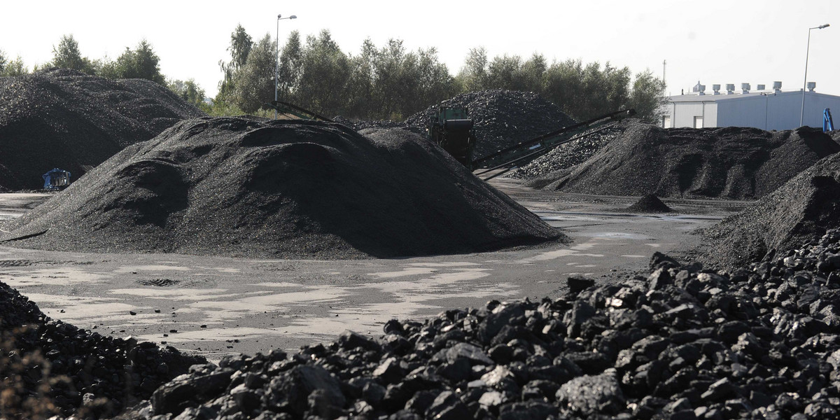 Jak na razie 19 gmin z całego kraju, ruszyło ze sprzedażą węgla po preferencyjnych cenach. Jak się przekonaliśmy w kilku z nich, węgiel sprzedawany jest znacznie taniej niż 2000 zł.
