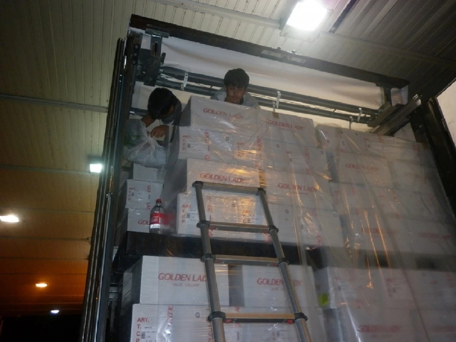 Migranti u tovaru ženskih čarapa