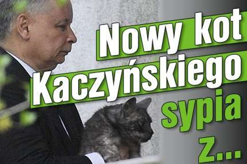 Nowy kot Kaczyńskiego sypia z...