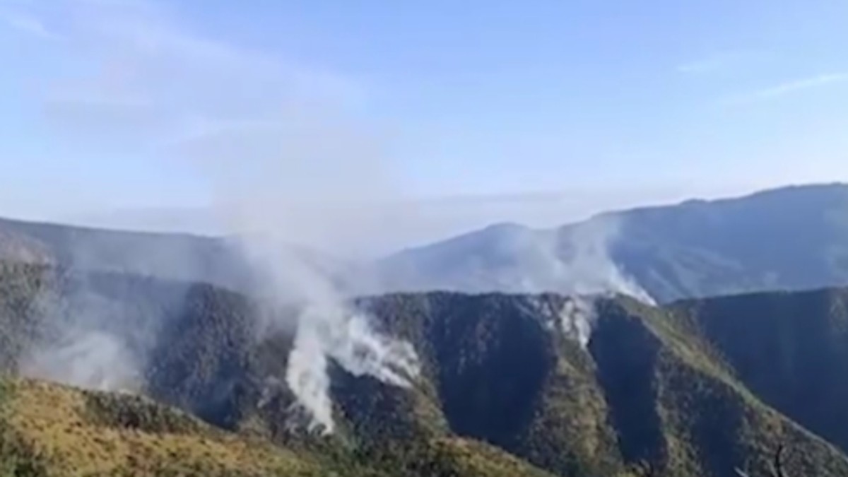 Požar na Stolovima