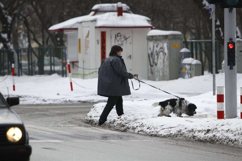 Komorowska. Nie chce być pierwszą damą